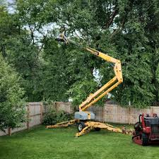 Leaf Removal in Lathrup Village, MI